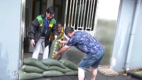 上海：維持臺風(fēng)黃色預警 轉移安置30余萬(wàn)人