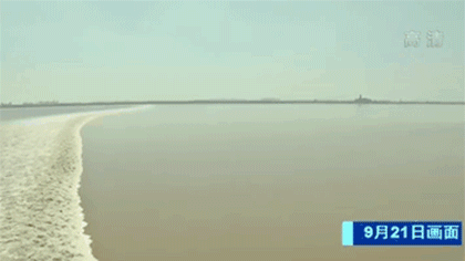 千里波濤滾滾來(lái) 錢(qián)塘江“一線(xiàn)潮＂壯觀(guān)來(lái)襲