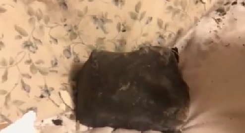 意外！人在家中睡 隕石天上來(lái)