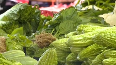 農業(yè)農村部：多措并舉 力促秋冬蔬菜穩產(chǎn)保供