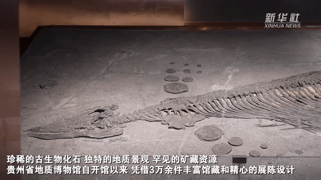 中國故事丨山海之外——博物館的奇幻之旅