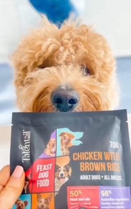 這份來(lái)自澳洲的“寵愛(ài)”，正飛向進(jìn)博會(huì )