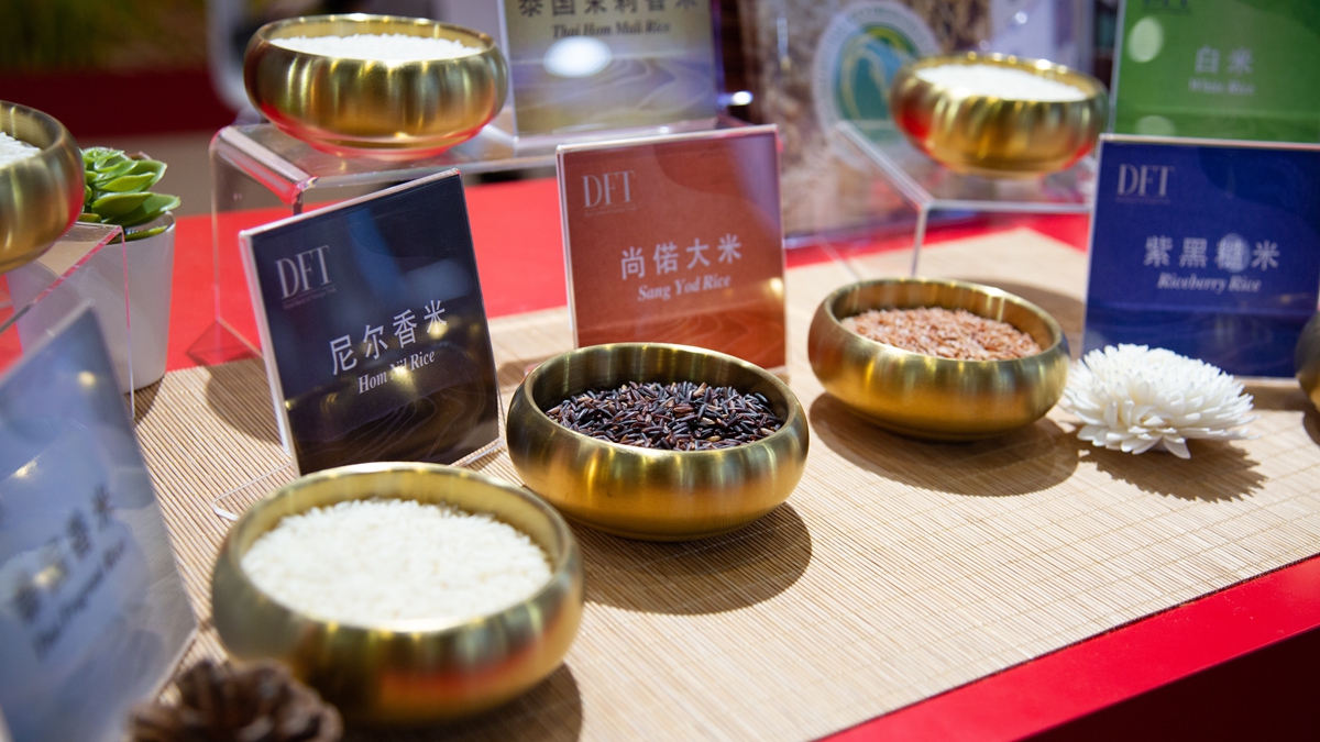 探訪(fǎng)第八屆進(jìn)博會(huì )主賓國展館