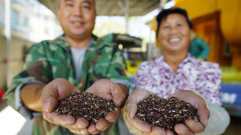 星火再燎原——來(lái)自我國首個(gè)脫貧摘帽縣井岡山的回訪(fǎng)