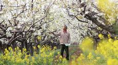 晴天好務(wù)農