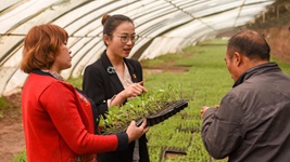 青春，在一線(xiàn)綻放芳華——“最美基層高校畢業(yè)生”速寫(xiě)