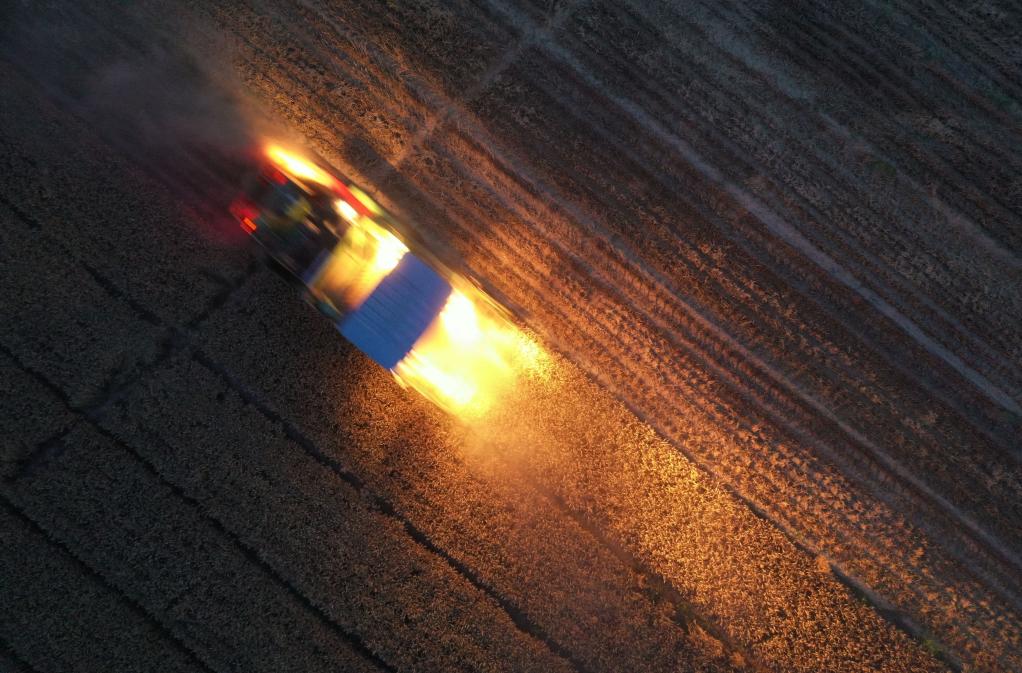 新華全媒+丨小村夜“戰”:中原麥收 “搶”字當頭